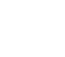 STAGE4：学部3・4年次／大学院1・2年次　産業界や地域社会との共創